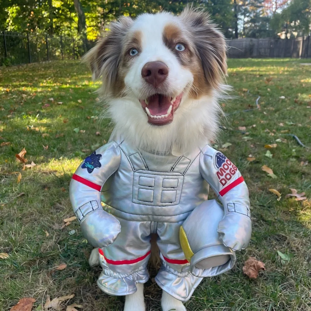 Dog Astronaut Costume - Picture 14 of 15